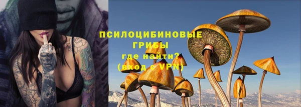 СК Вязьма