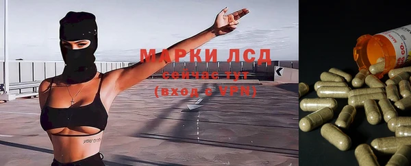 СК Вязьма