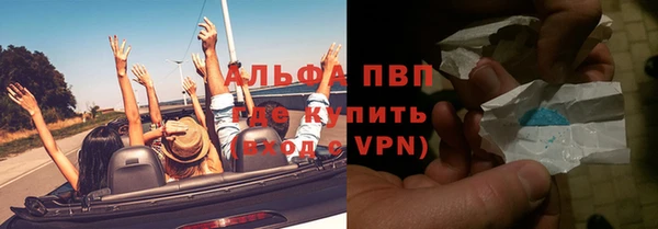СК Вязьма
