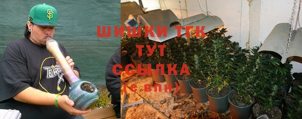 первитин Вяземский