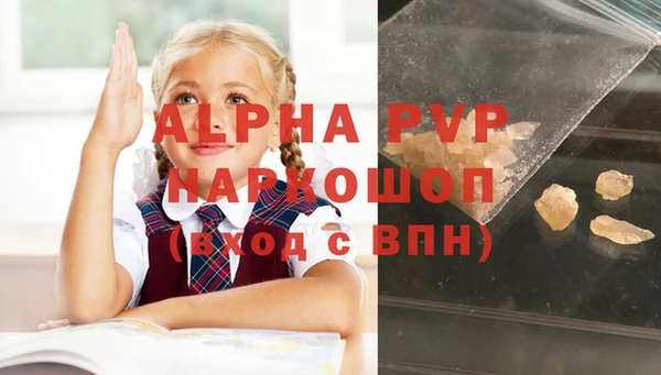 СК Вязьма